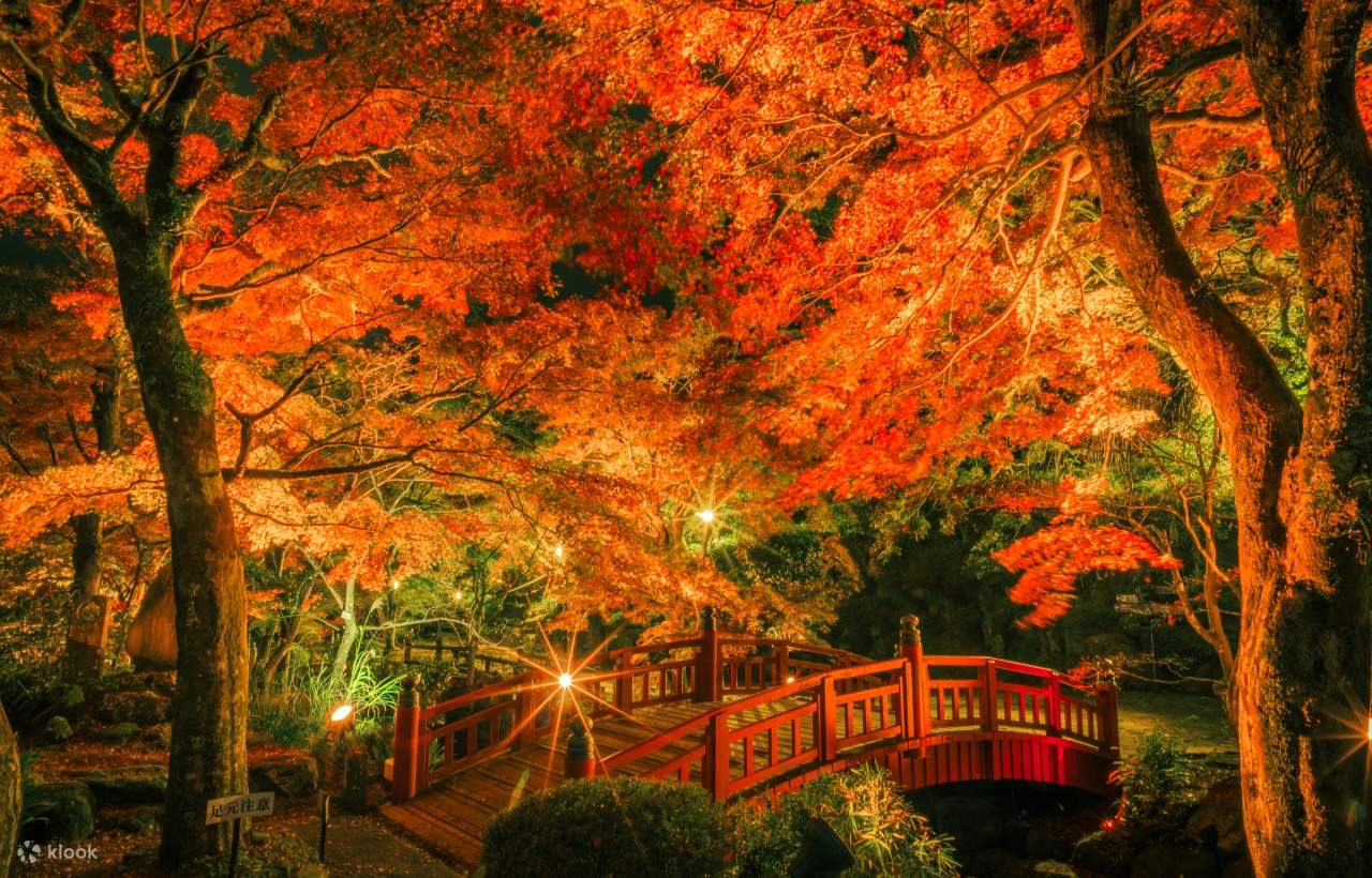 Maple Viewing Limited] Izu Atami Plum Garden & Shuzenji Onsen